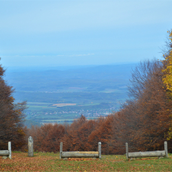 Kékes ősz