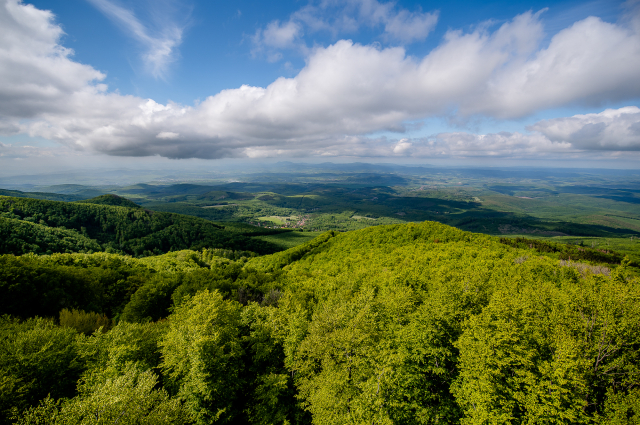 Kérdőíves felmérés Gyöngyös és a Mátra térségéről